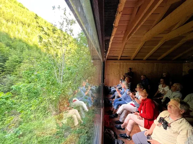 Tour group at bear watching hide in the Carpathian Mountains