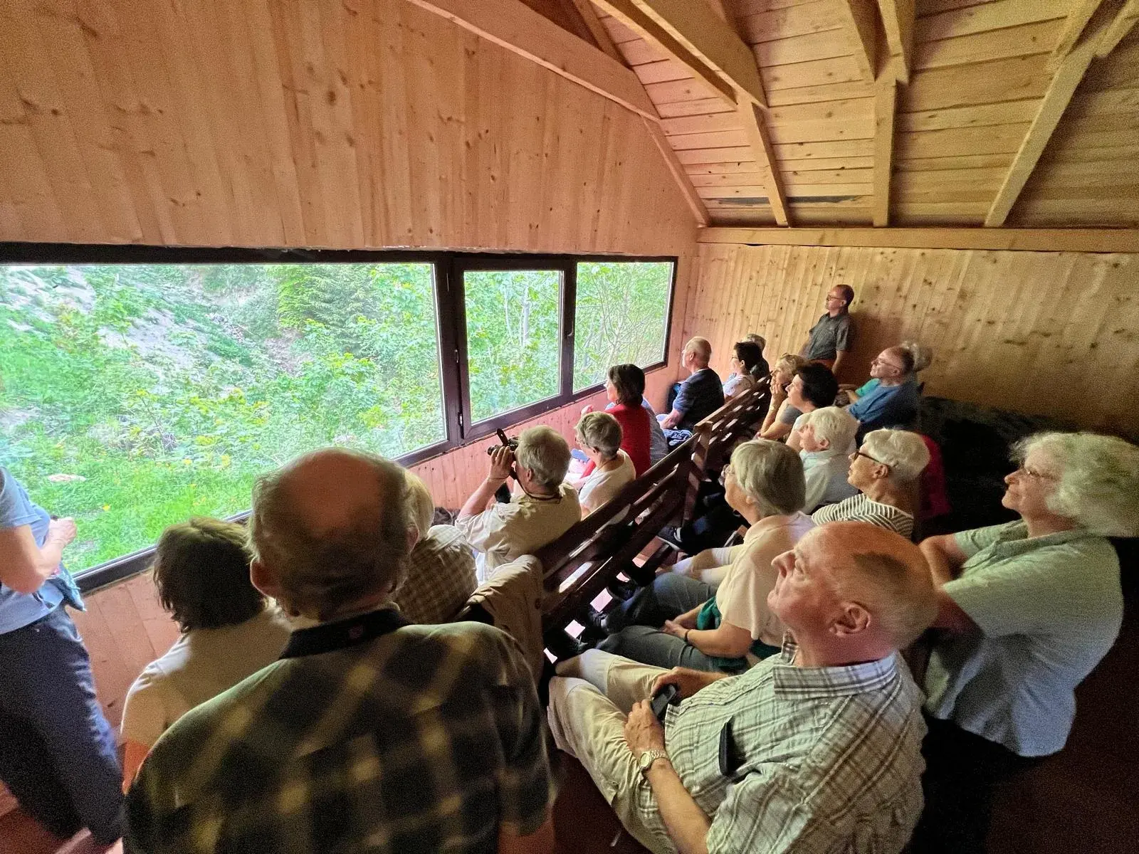 Interior of bear watching hide in the Carpathian Mountains — Ibis Tours