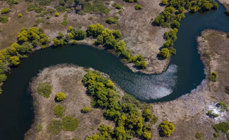 Motorboat on Danube Delta channel at dawn — wildlife photography excursion