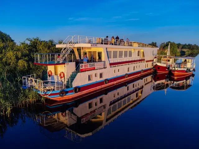 Danube Delta birding — pelicans and waterbirds