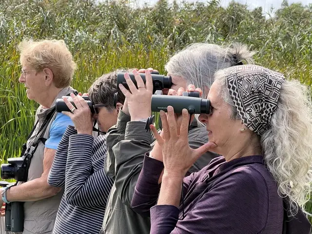 Magearu Channel — floating islands and water lilies in the Danube Delta