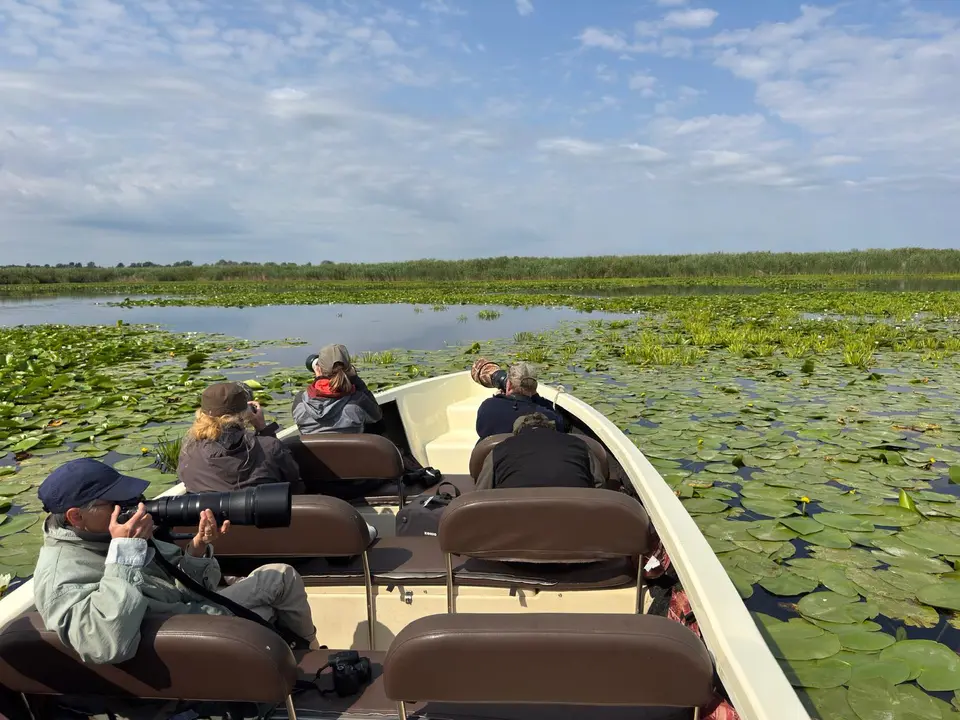 Birdwatchers on boat among water lilies in the Danube Delta — peak summer season