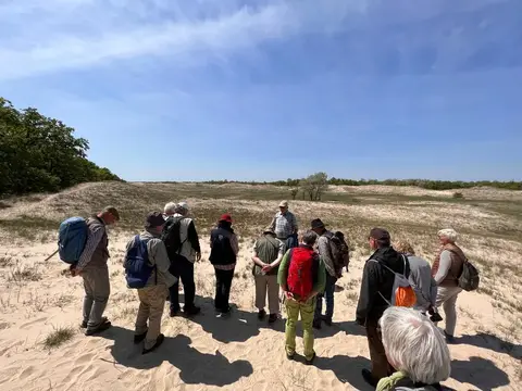 Naturalist guide briefing the group on Letea sand dunes ecology, Danube Delta