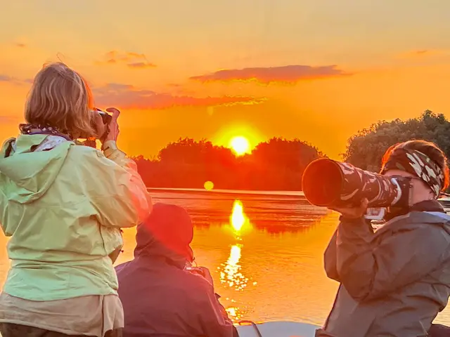 Wildlife photographers capturing a golden sunset over the Danube Delta